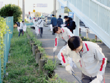 Picture: Clean-up activities