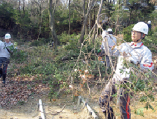 Picture: Satoyama conservation activities