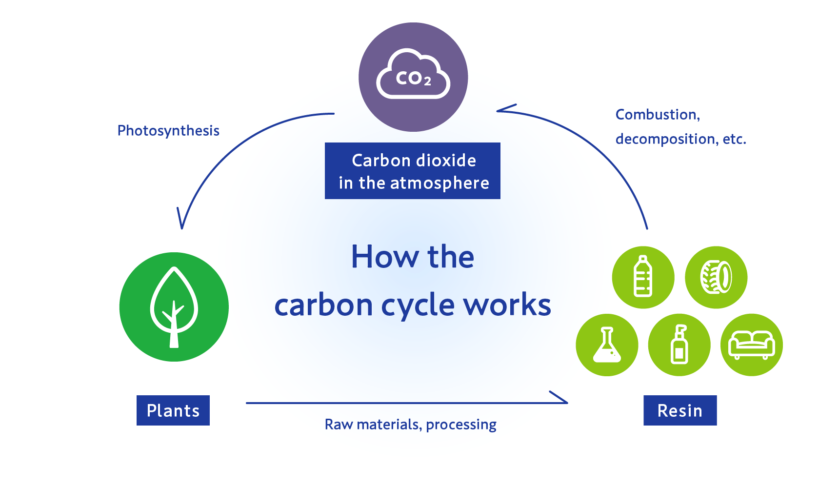 How the carbon cycle works