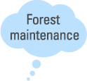 Forest maintenance