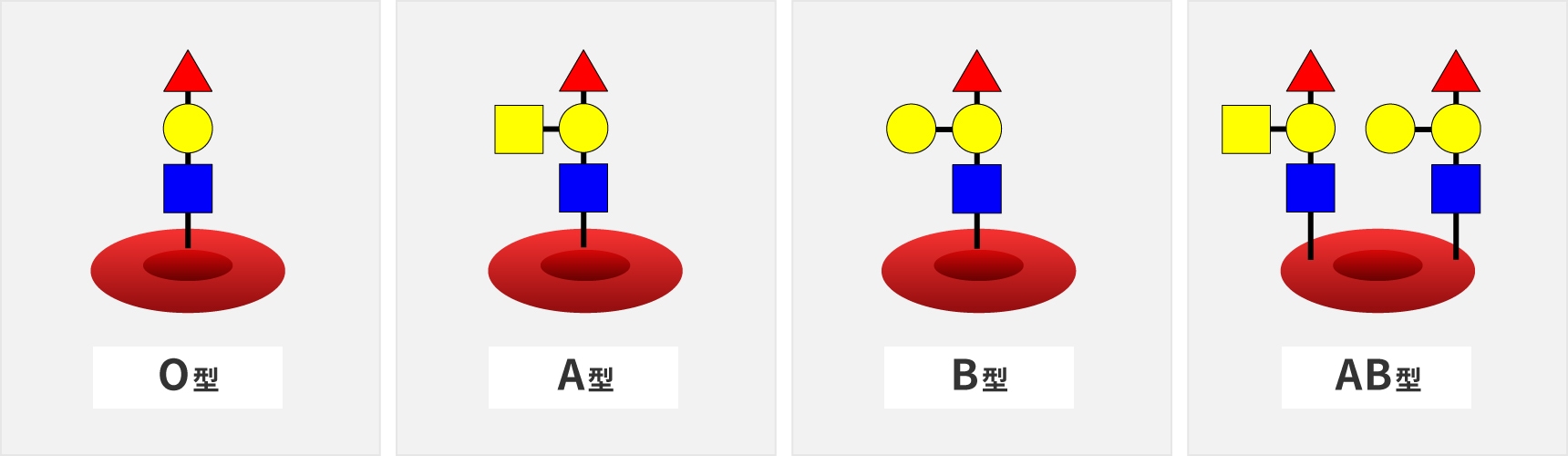 血液型ごとの糖鎖の構造。
