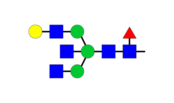 化学式：Bisecting型糖鎖