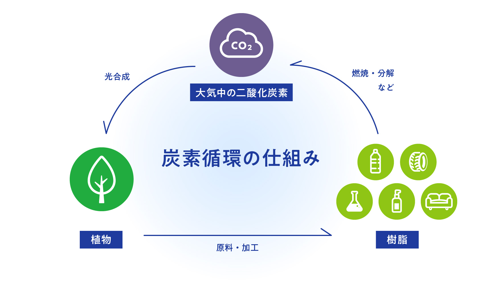 炭素循環の仕組み